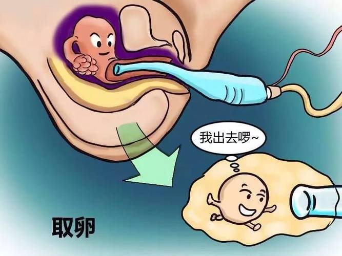 国内供卵试管代怀哪家好(国内供卵试管代怀哪家好？选择最佳试管代孕机构攻略)