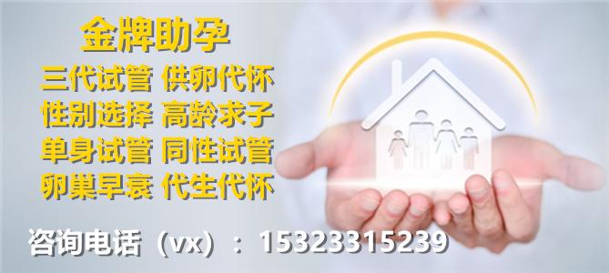 国内供卵机构【国内供卵机构：助力家庭梦想的新选择】