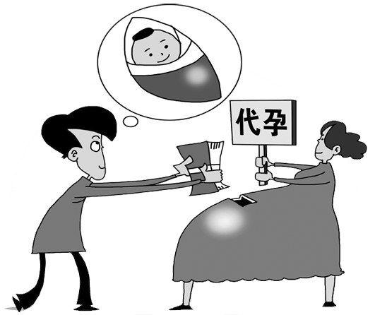 国内供卵试管代怀犯法吗(国内供卵试管代怀犯法现状调查)