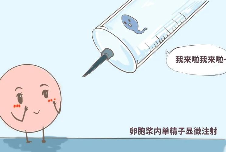 代生男孩过程(男孩代生:一个家庭的选择与挑战)
