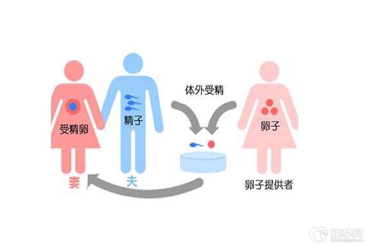 上海供卵代生流程【上海供卵代生流程解析及实操指南】