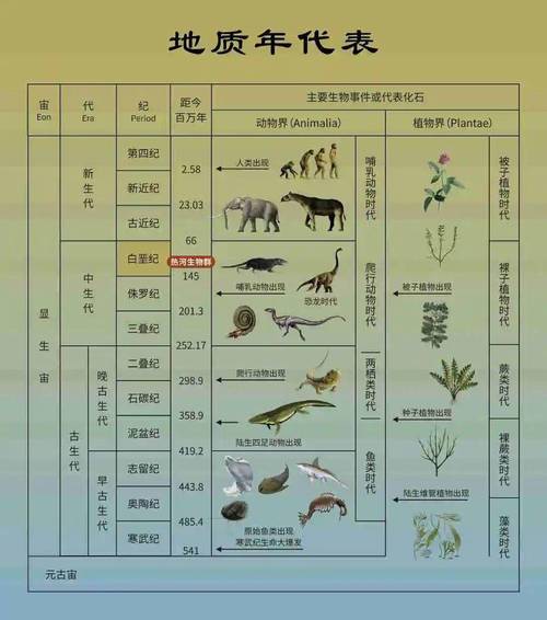 代生出的孩子像谁【代生出的孩子像谁:寻找生物学家的基因融合之谜】
